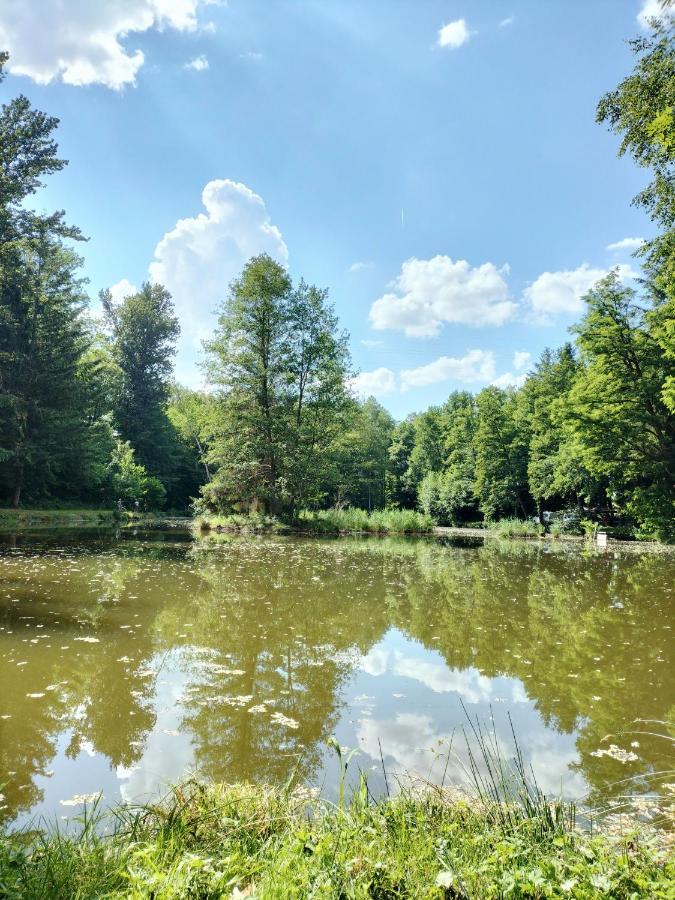 Апартаменты Les Capucines La Souris Des Champs Etival-Clairefontaine Экстерьер фото